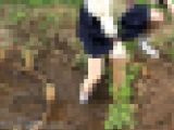 田んぼで白いソックスを汚すフェチ動画f894
