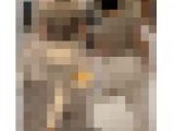 神尻美女の抜きを誘うスケスケ神スタイル！