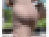 《小動物系美女！まさかのパーフェクァ＂尻》