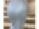 《プリップリのお尻が最高！Tバックも浮き出るエロい極上美女》
