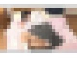 【ホットエンターテイメント】新しいお父さんに中出しされたうぶで可憐な連れ子 #006 HEZ-520-06